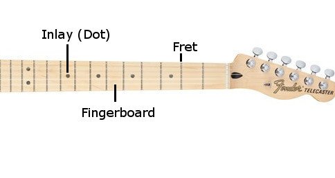 Guitar Neck Parts Diagram