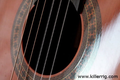 Nylon Strings on a classical guitar.
