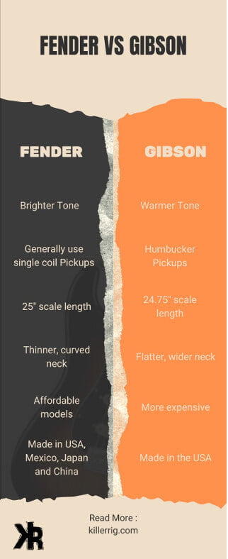 Fender vs Gibson Comparison Infographic