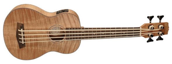 contrabass ukulele
